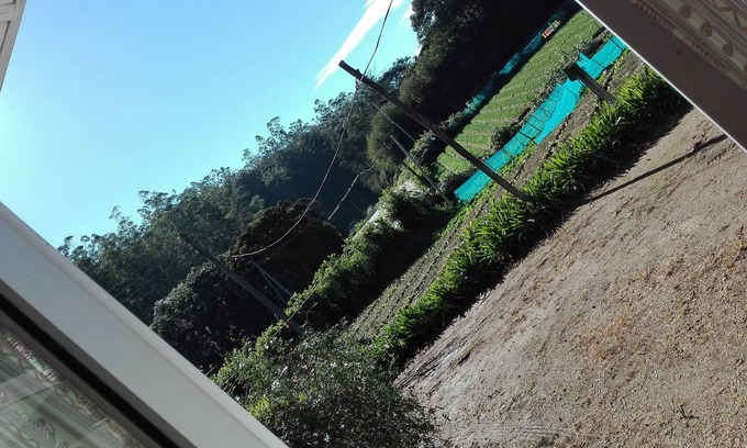 Seetha Eliya Cama Y Desayuno | Kumara Sevana - The Family Cottage