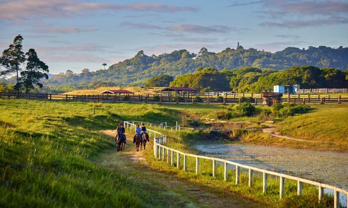 Kuranda Otro | KUR-Cow farm escape 35 minutes from Cairns