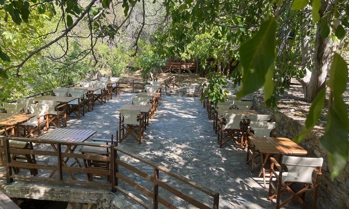 Zeytinli Cama Y Desayuno | Kybele Nature Life