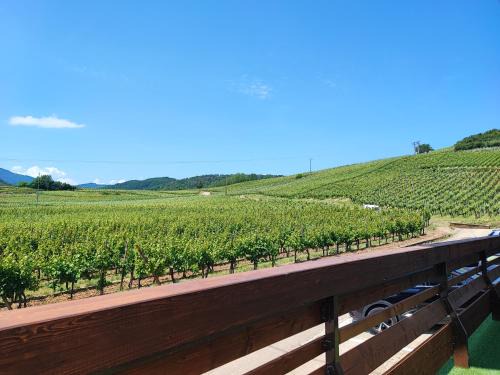 Bergheim Apartamento | L'Altenberg