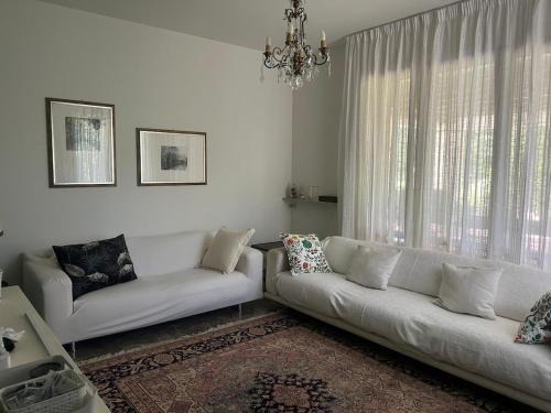 Roveredo in Piano Casa | L'Angolo Verde