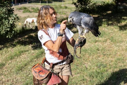 Chianciano Terme Apartamento | L'Aquila e L'Ulivo