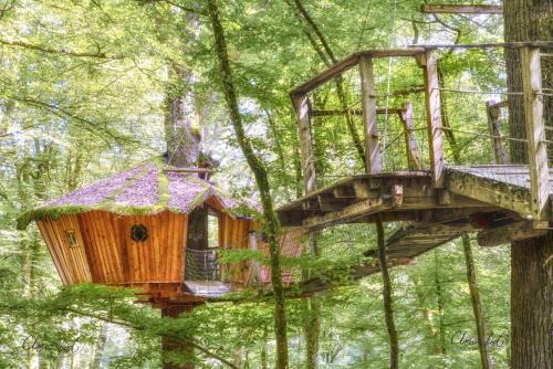 Guyonvelle Casa | L'Arbre à Cabane