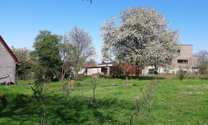Beblenheim Cama Y Desayuno | L'Erable Bed and Breakfast, in the Heart of the Alsace Wine Route!!