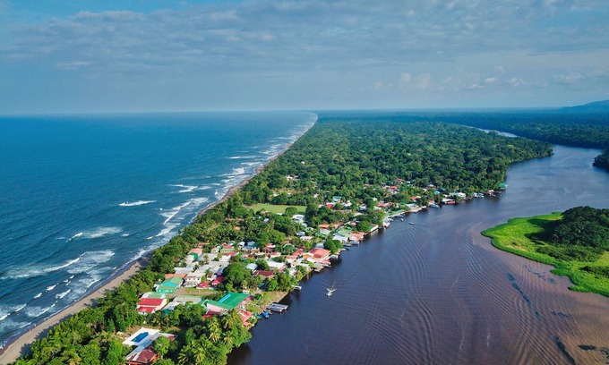 Tortuguero Cabina | La Baula Lodge