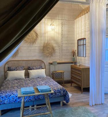Maxent Casa | La belle étoile