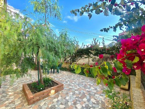 Acconia Cama Y Desayuno | La Bouganville B&B