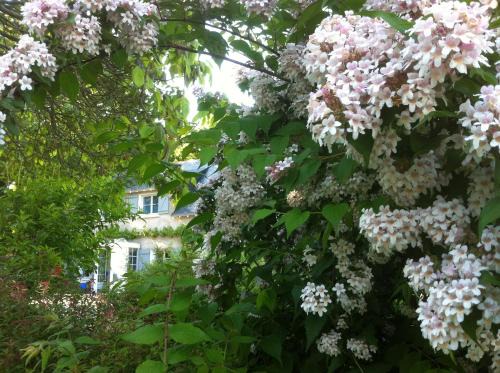 Blaison-Saint-Sulpice Cama Y Desayuno | La Butte de Gohier