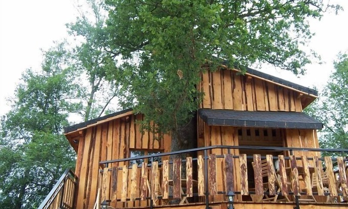Saint-Dier-dʼAuvergne Casa | La Cabane Dans les Arbres
