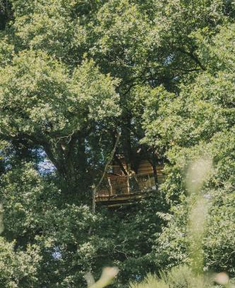 Coudures Otro | La Cabanoun, cabane perchée vue lac