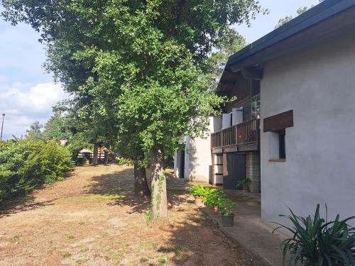 Olius Apartamento | La casa del pi
