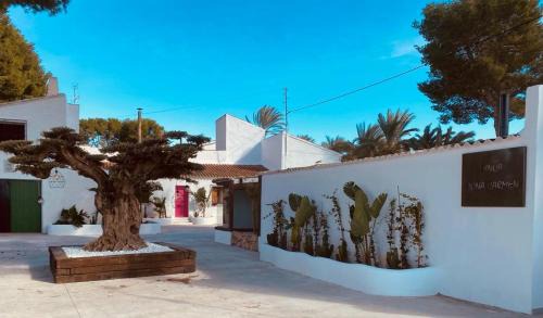 Santomera Casa | La Casa Rosa de Finca Doña Carmen