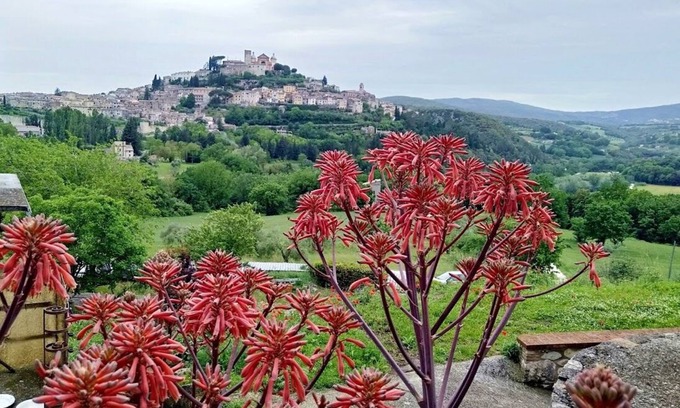 Amelia Apartamento | LA CASINA Panoramic apartment in the countryside very close to the village
