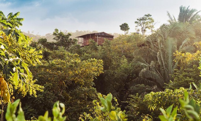 Mata de Platano Cabina | La Casita del Bosque