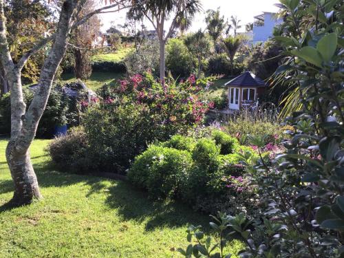 Oneroa Apartamento | La Casita Waiheke