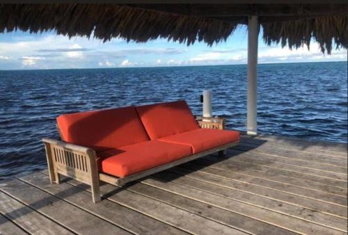 San Pedro Villa | La Chakra. A Stunning Ocean View Tropical Cottage!