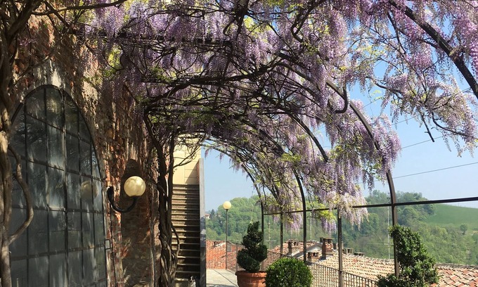 Ozzano Monferrato Cama Y Desayuno | La Corte delle 4 Stagioni