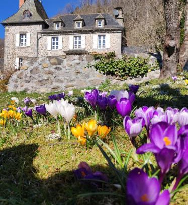 Saint-Chamant Cama Y Desayuno | La Demeure de Cyr