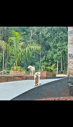 Puerto Leoni Casa | La Escondida