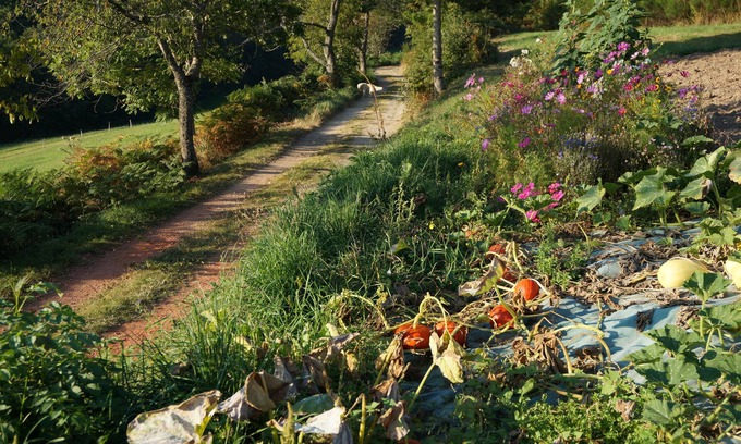 Montromant Cama Y Desayuno | La Ferme du Thiollet