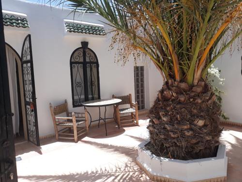 Afrate Haissoun Casa | la fromagerie essaouira