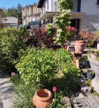 Lizzano in Belvedere Apartamento | La gazza allegra