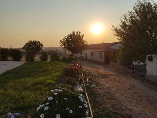 Ledesma Apartamento | La Granja de Juli