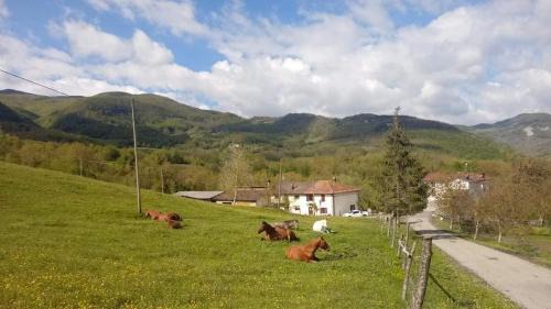 Piane di Mocogno Apartamento | La Lissandra Agriturismo House