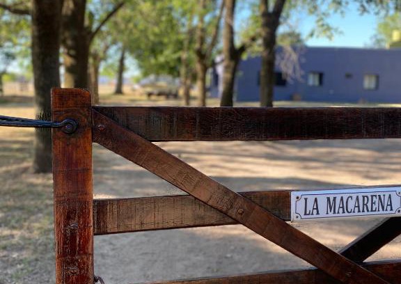 Navarro Casa | La Macarena