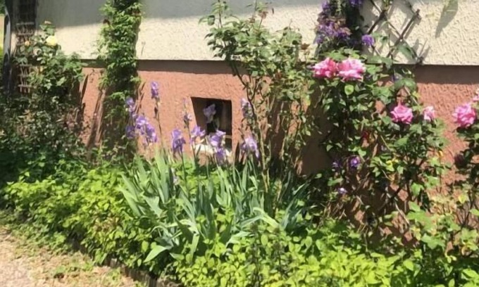 Drachenbronn Casa | La Maison Des Roses