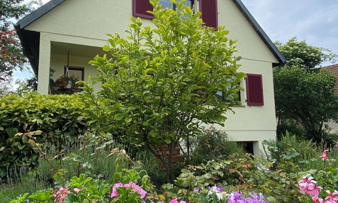 Drachenbronn Casa | La Maison Des Roses