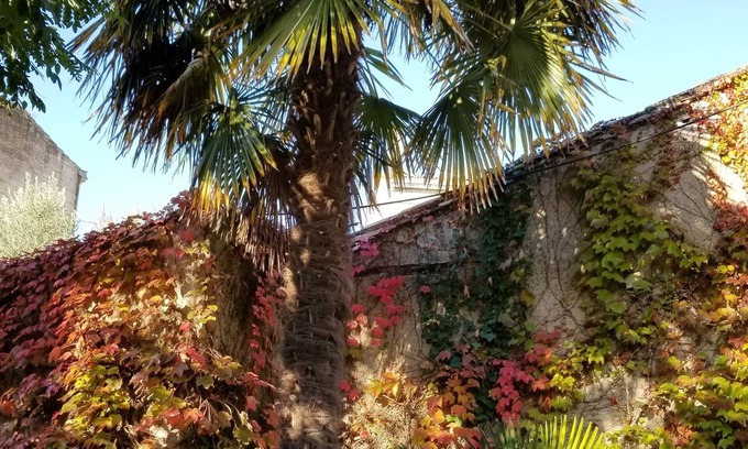 Blaye Cama Y Desayuno | La Maison Blanche
