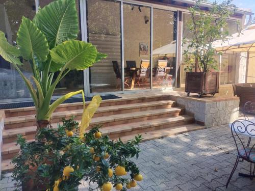 Valreas Casa | La Maison De Maître Potager