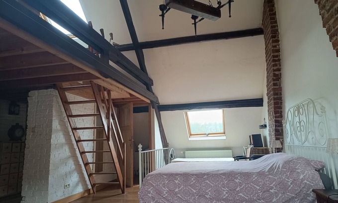 Kortenberg Casa | La maison des chiens