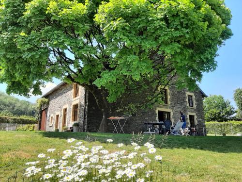 Laforet Casa | La Maison des Marguerites