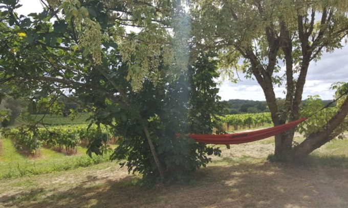 Salignac Casa | La Maison du Vignoble: Charme & Vue Panoramique