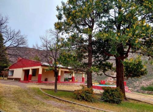 Salto Chalet De Esquí | La Mamina Casa de Montaña