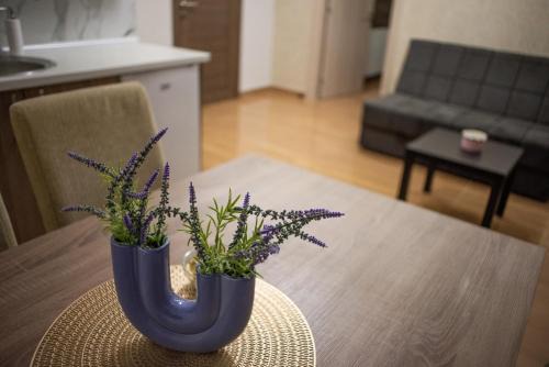 Sabac Apartamento | La Mirage