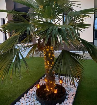 La Lastrilla Casa | La Palmera del Sotillo
