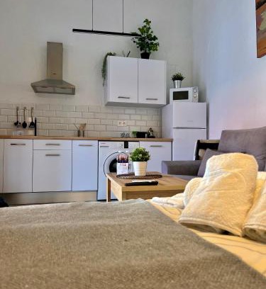 Jerez de la Frontera Old Town Apartamento | La Parra Apartamento