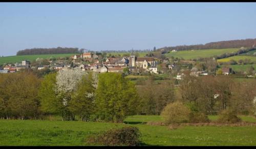 Jars Casa | La Petite Sancerroise
