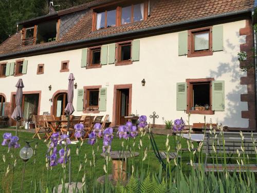 Freland Casa | La Pierre d'Eau