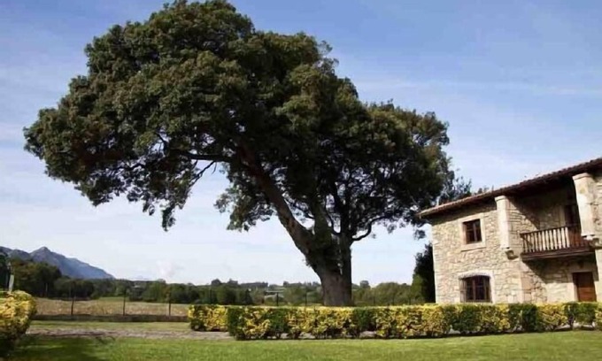 Villahormes Cabaña | Casa de Aldea La Piniella para 10 personas