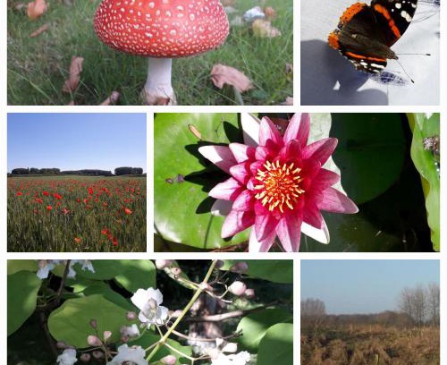 Lecelles Apartamento | La Résidence des Fleurs