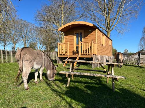 Tournai Casa | La Roulotte du Moulin de Thimougies