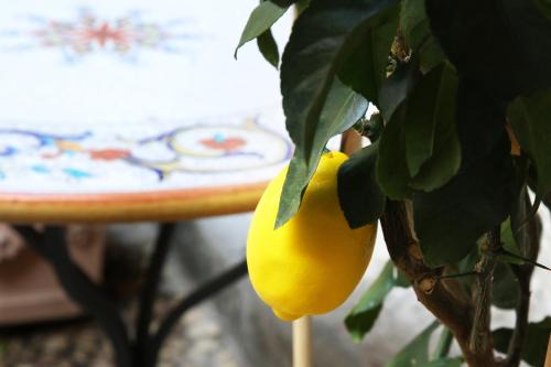 Seregno Apartamento | La Terrazza dei Limoni