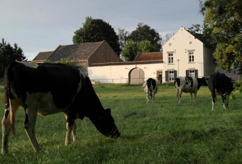 Maastricht Apartamento | La Vache Contente