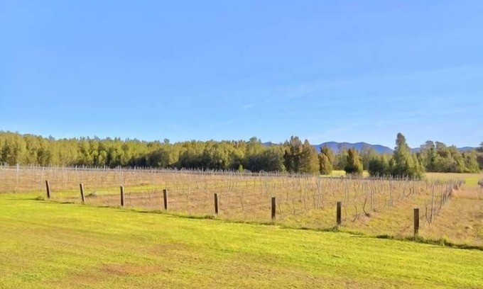 Pokolbin Casa | Función de La Vigna y alojamiento para bodas, todo el viñedo tiene capacidad para 48