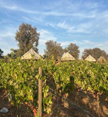 Valle de Guadalupe Otro | Lago Valle Wine Glamping