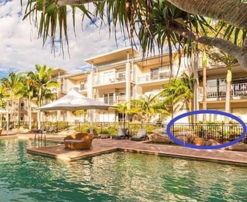 Kingscliff Apartamento | Lagoon Pool Access Salt Resort & Spa 1br (Peppers)